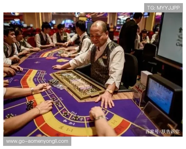 澳门几家大赌场的法律法规遵守与行业规范执行情况