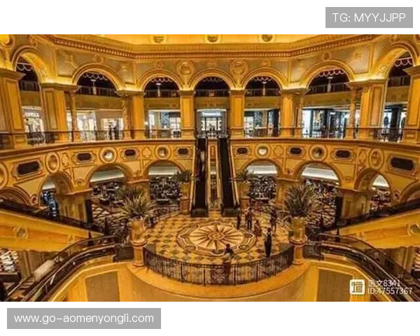 澳门十大赌场排名最新榜单，揭示最豪华最受欢迎的赌场场所