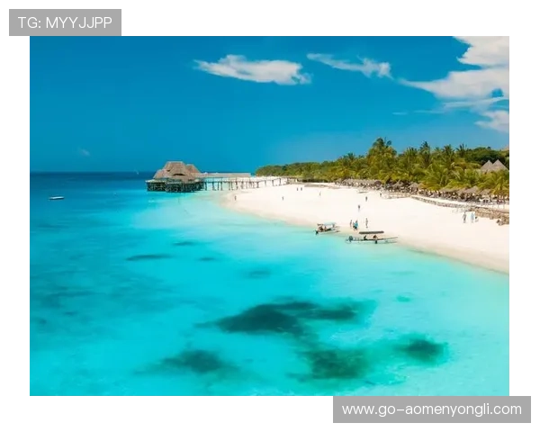 探索海岛娱乐场的多样化游戏玩法与最新优惠活动让你尽享海岛假日乐趣