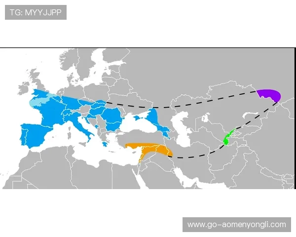 澳门伦敦人特色在现代社会中的传承与创新发展趋势详解 澳门伦敦人特色在现代社会中的传承与创新发展趋势详解