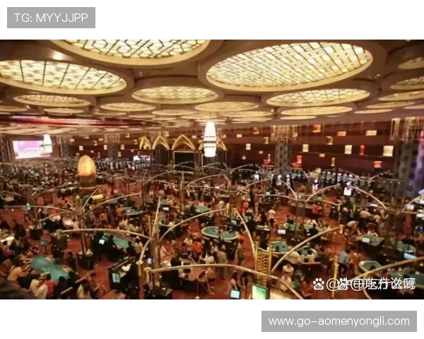 澳门有名气的赌场有哪些特色服务和娱乐项目值得体验