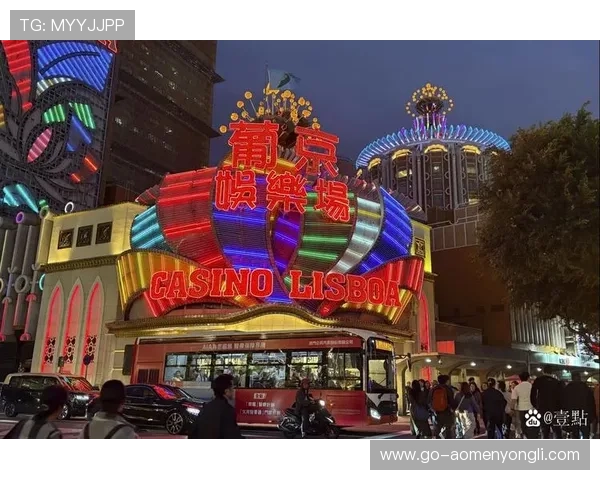 澳门最大赌场的名字详细介绍，探索其背后的历史与特色