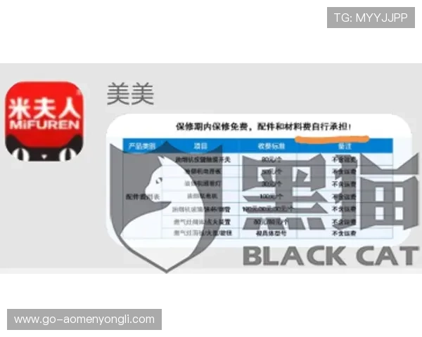 永利官网旗舰店入口详细介绍，帮助用户快速访问官方商城的最佳途径